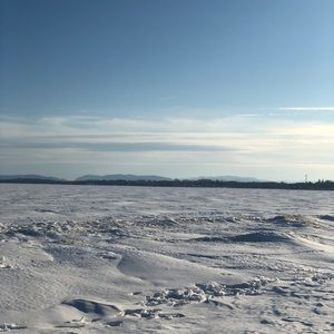 Meet your Posher, Hunter